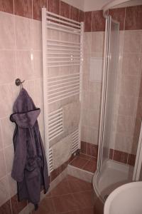 a bathroom with a shower with a towel and a toilet at Apartmán Velké Losiny in Velké Losiny