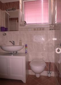 a bathroom with a sink and a toilet and a window at Apartmán Velké Losiny in Velké Losiny