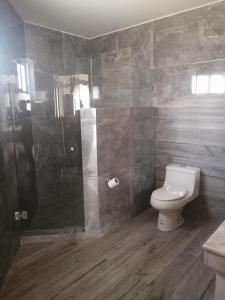 La salle de bains est pourvue de toilettes et d'une douche en verre. dans l'établissement Hotel San Diego, à Bernal