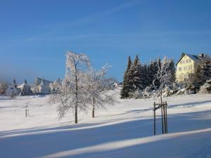 ein Baum im Schnee mit einem Haus im Hintergrund in der Unterkunft Hotel Schöne Aussicht in Masserberg