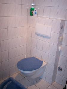 a bathroom with a toilet with a blue seat at Bachtelhuber-Hof in Teisendorf
