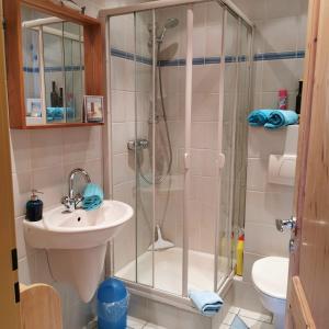 ein Bad mit einer Dusche und einem Waschbecken in der Unterkunft Ferienwohnung Mosel in Valwig