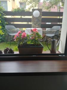 Balkon lub taras w obiekcie Pod lasem