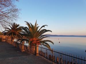 a fence with palm trees next to a body of water at Hotel Eden Sul Lago in Bolsena