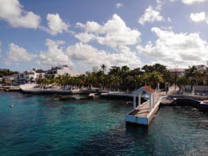 un quai dans l'eau avec des palmiers et des bâtiments dans l'établissement Cozumel Hotel & Resort All Inclusive, à Cozumel