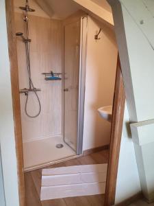 une salle de bain avec douche et lavabo dans l'établissement Cottage La Grenouillère, à Menetou-Râtel