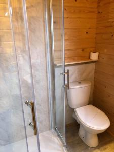 a bathroom with a toilet and a glass shower at Bacchus Hotel Log Cabins in Sutton on Sea
