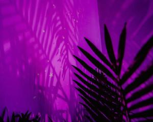 Foto dalla galleria di Object Hotel 1BR Room 3E a Bisbee