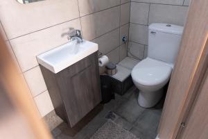 a small bathroom with a toilet and a sink at Sarafos Apartment Stavros Rooms in Stavros +27 photos