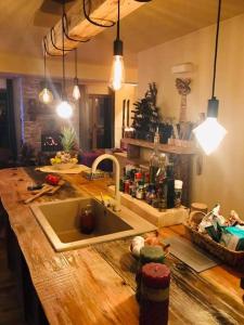 a kitchen with a sink and a counter top at Vila Dragana in Žabljak