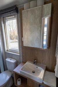a bathroom with a sink and a toilet and a mirror at Apartment im Herzen vom Unterallgäu in Erkheim