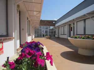 a corridor of a building with flowers on it at Apartamentos Elena in Laredo