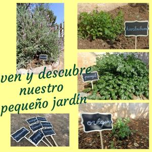 Fotografia z galérie ubytovania Casa Mariseta y Tonet, naturaleza a 2 km del mar v destinácii Calpe