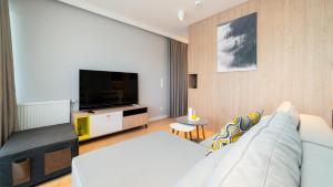 a living room with a couch and a flat screen tv at Triventi Mountain Residence Apartament Sunrise in Karpacz