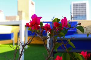 a group of red flowers in front of a building at Casa de la Cruz Centro Historico in Cartagena de Indias
