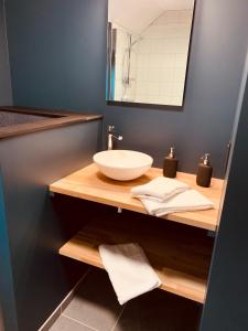 uma casa de banho com um lavatório e um espelho em La Chambre d'en Haut em La Reid
