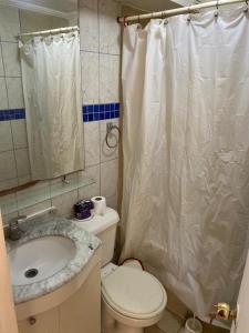 a bathroom with a toilet and a sink and a shower at Departamento amoblado por día in Arica