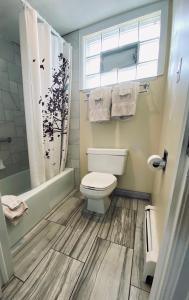 a bathroom with a toilet and a shower at Salida Inn & Monarch Suites in Salida