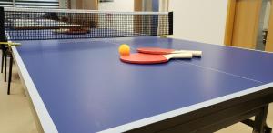 Stolní tenis v ubytování Resort Inn Gabusoka -SEVEN Hotels and Resorts- nebo okolí