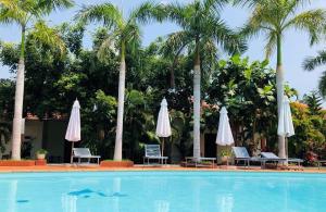 Hồ bơi trong/gần Eco Resort Phu Quoc