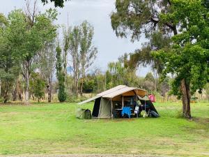 a tent in the middle of a field at Mt Mittamatite Caravan Park in Corryong