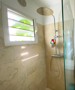 a shower in a bathroom with a window at Au bord du Lagon ! in La Saline les Bains