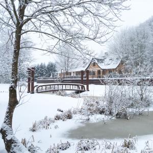 Borgdal talvel