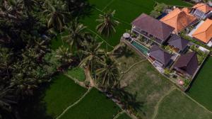 an aerial view of a house with palm trees at Tri Dewi Residence by GenuineHost in Ubud