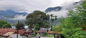 a village with trees and mountains in the background at Aaltapori Homestay in Alīpur Duār