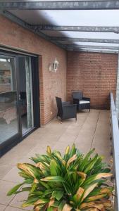 a patio with a plant in front of a brick wall at Appartement mit Weitblick in Mönchengladbach