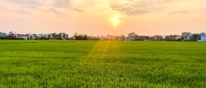 Afbeelding uit fotogalerij van Q.HI homestay in Hội An +17 foto's