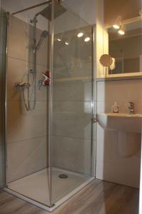 a shower with a glass door next to a sink at GODS06108-FeWo-Moeoev in Gollendorf
