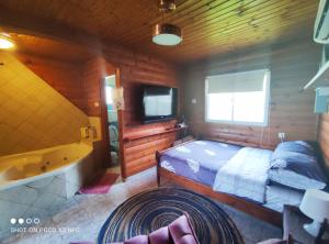 a bedroom with a bed and a tub and a television at Idelia at Golan Heights in Giv'at Yo'av