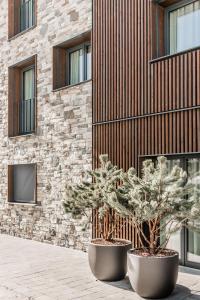 a pine tree in a pot in front of a building at The Base Andermatt in Andermatt