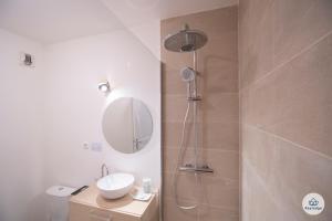 a bathroom with a shower with a sink and a mirror at T1 - Fleur de vanille II 3étoiles - Saint Denis Bellepierre in Saint-Denis
