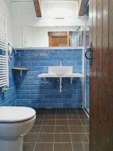 Baño azul con lavabo y aseo en Hotel La Casa del Río, en Villanova