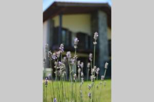 Ein Garten an der Unterkunft Casa Miruetxe