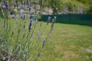Ein Garten an der Unterkunft Casa Miruetxe