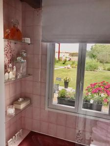 uma cozinha com uma janela com vasos de plantas em Les Chambres de Paule em Thieulloy-lʼAbbaye