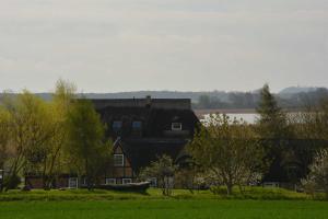 ミデルハーゲンにあるUns Schuenの木々のある野原にボートのある家