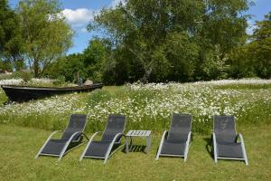 ミデルハーゲンにあるUns Schuenの花畑の中の3つの椅子とボート