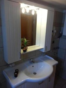 a bathroom sink with a mirror and a potted plant at Gramvoussa Bay in Kissamos