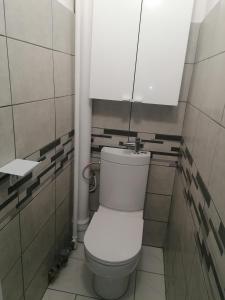 ein Badezimmer mit einem weißen WC in einer Kabine in der Unterkunft SWEET Appartment avec Wifi et parking in Clermont-Ferrand