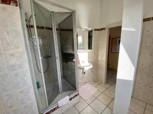 uma casa de banho com um chuveiro e um lavatório. em Hotel Hilgers em Düren - Eifel