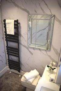 a bathroom with a toilet and a mirror at Kelpies Serviced Apartments- Russell in Falkirk