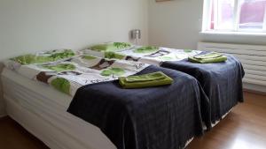 Voodi või voodid majutusasutuse Brúnalaug Guesthouse - Holiday Home toas