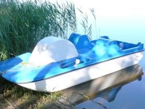 Przyroda w pobliżu tego domu wakacyjnego