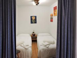 two twin beds in a room with curtains at Apartment F 118 in Dittishausen