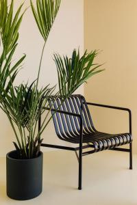 una panchina con due piante in vaso su un tavolo di Boavista Apartment by Olala Homes a Cascais