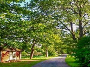 a tree lined road with a house on the side at Holiday Home Virtaan väentupa by Interhome in Nuoramoinen +18 photos